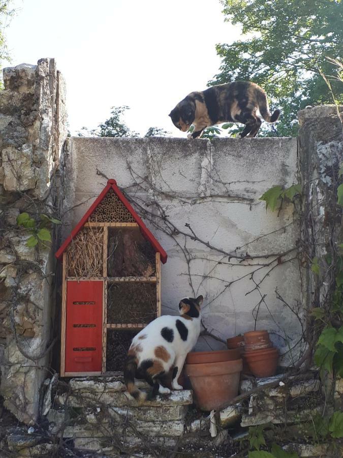 Au Chat Perche Mareil-sur-Mauldre Exterior foto